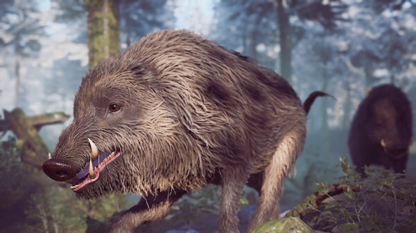 Screenshot 18