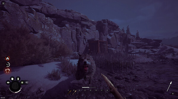 Screenshot of Winter Survival