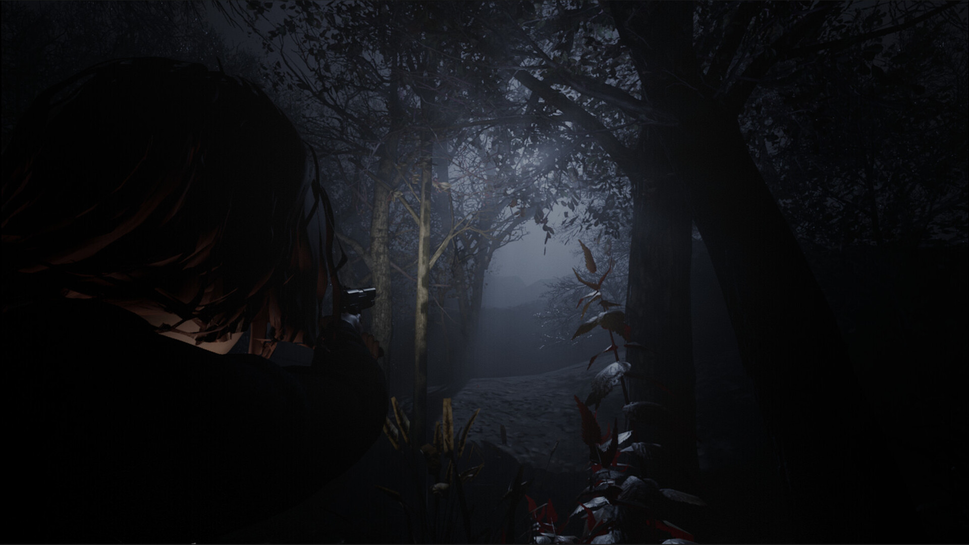 Cult of Dawn screenshot #2