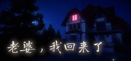 老婆,我回来了 封面