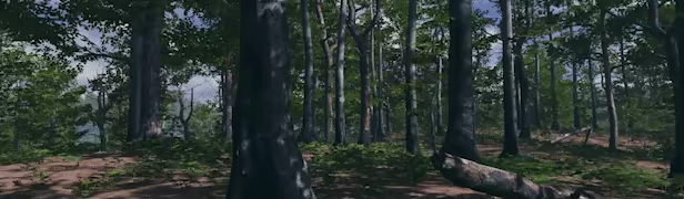 Birding Simulator video 9