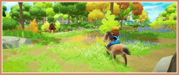Everdream Valley video 10