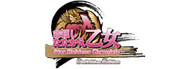 Star Maidens Chronicle: Definitive Edition
