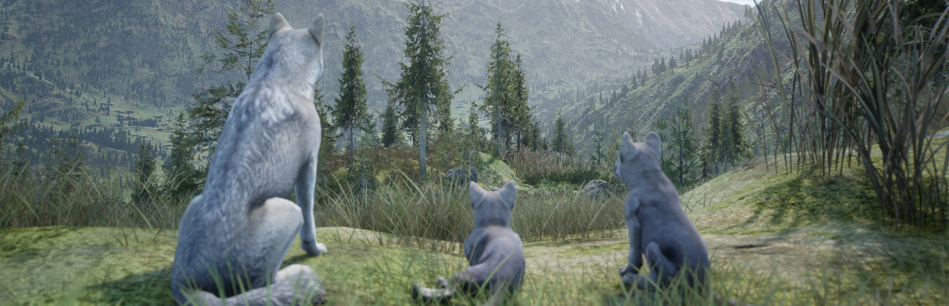 Wilderness