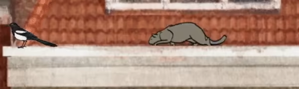 Milo and the Magpies video 1