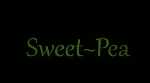 Sweet Pea video 1