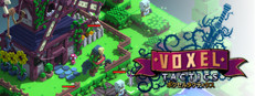 Voxel Tactics