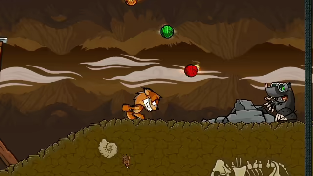 Bay Lynx video 1