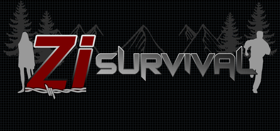 ZI Survival Featured Screenshot #1