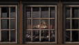 Screenshot #2