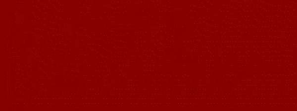 Republic of Jungle video 3