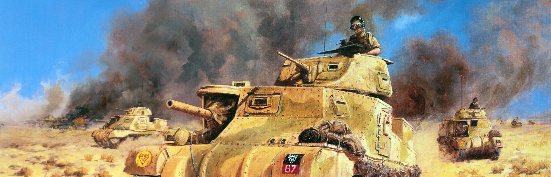 Desert War WWII