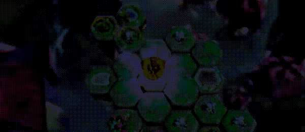Quinterra video 1