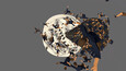 Screenshot #5