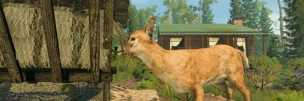 Forester Simulator video 4