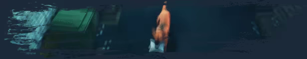 THIEF DOG video 2