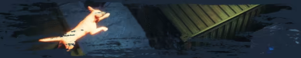 THIEF DOG video 1