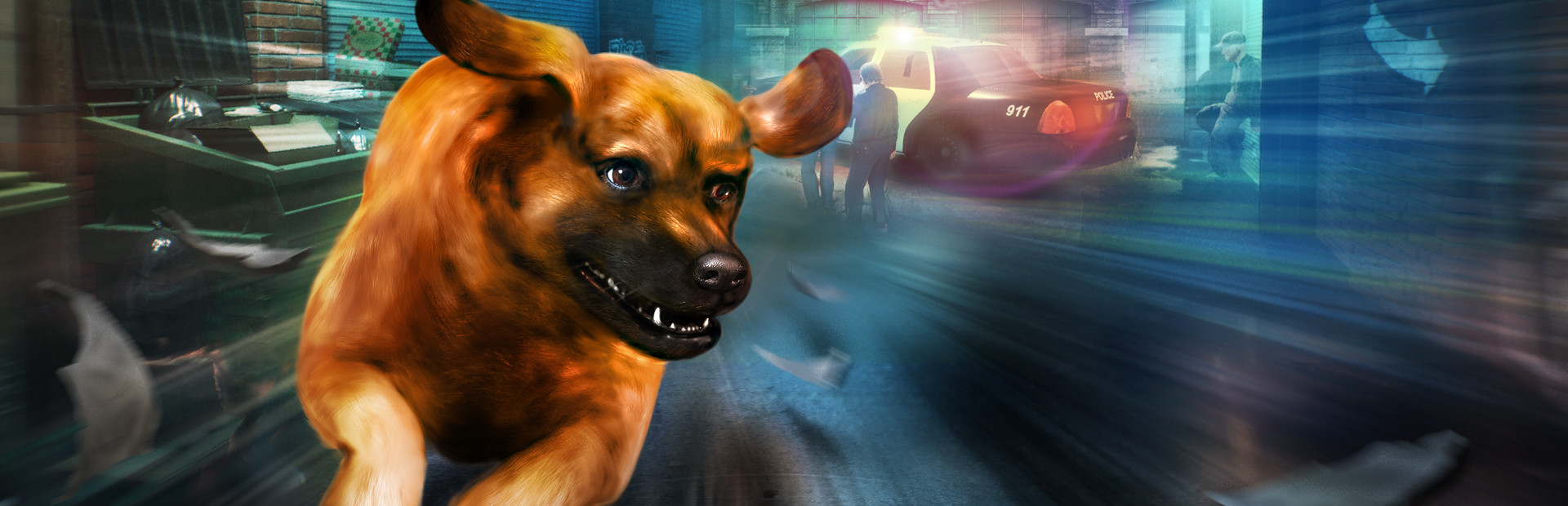 THIEF DOG