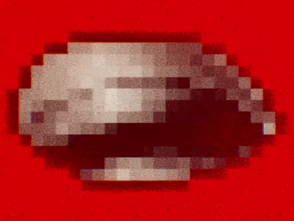 SEARCH PARTY: Director's Cut video 3