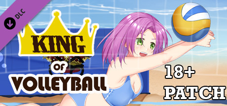 King of Volleyball Steam Charts and Player Count Stats