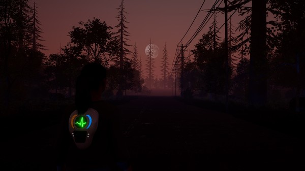 Beyond The Shadow