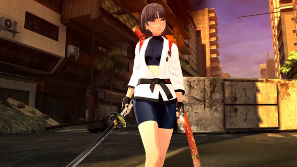OneeChanbara ORIGIN - Exclusive Saki Costume: Tsubaki-Style Mortal Combat Gi