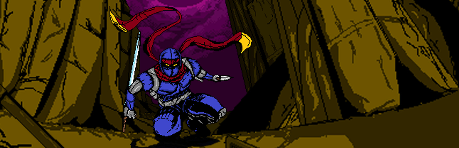 Shattered Ninja