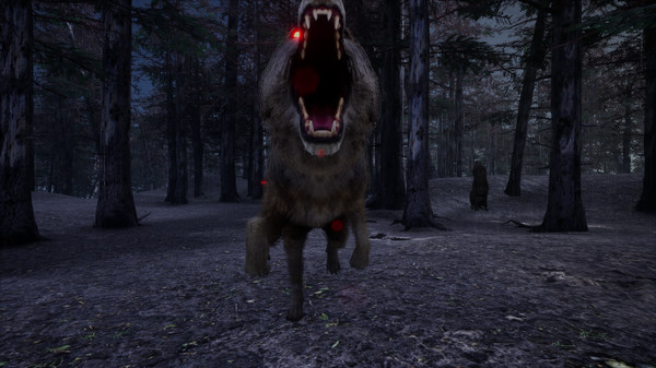 Thumbnail 8