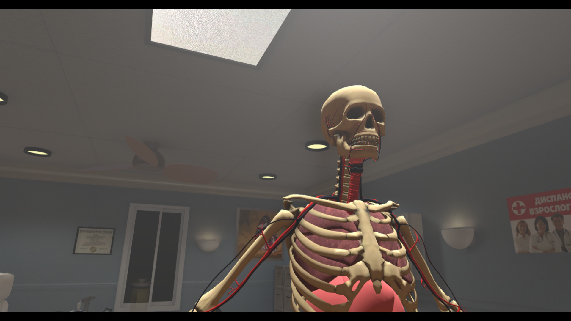 Human Constructor VR
