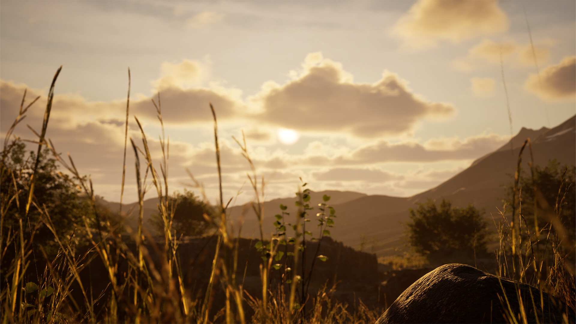 Stone Simulator – Just Be a Rock – Screenshot 12
