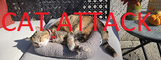 Cat Attack RPG