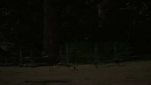 Decamped video 1