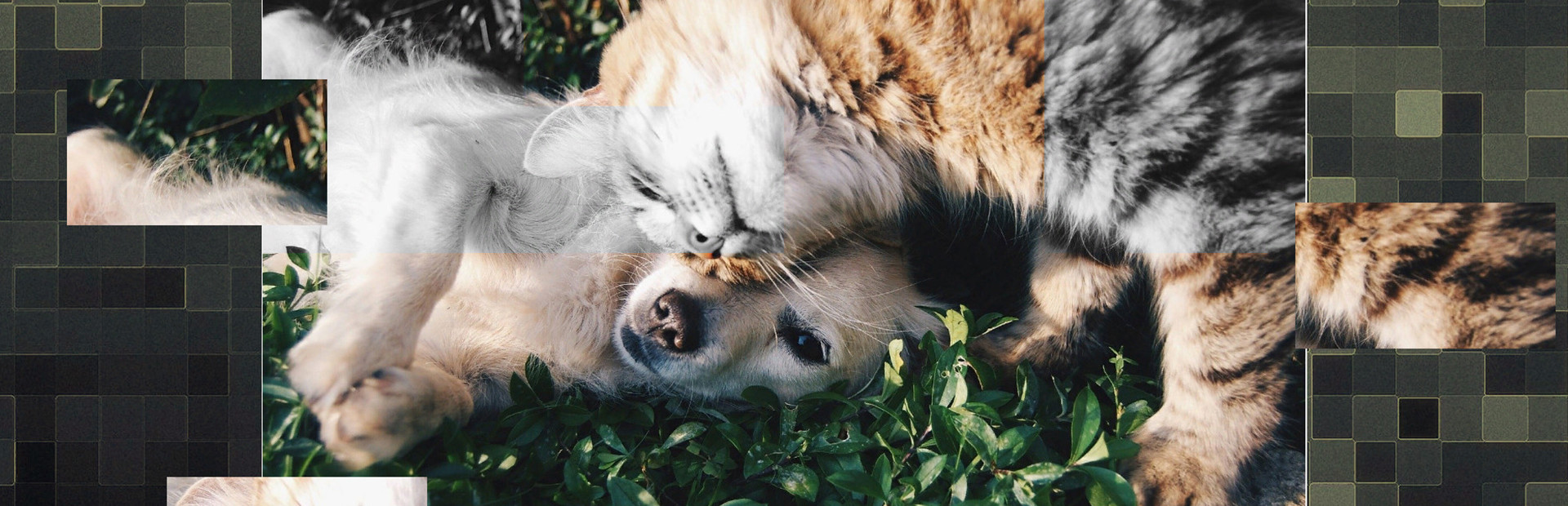 Good puzzle: Animals
