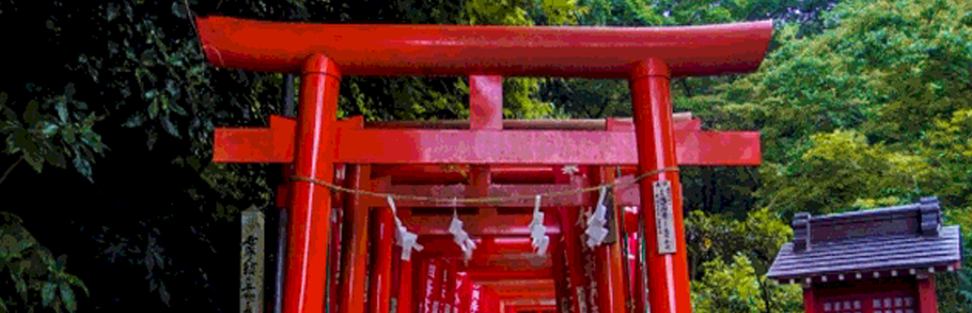 Abiko The Miko 2