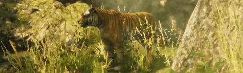 Animal Rescuer video 5