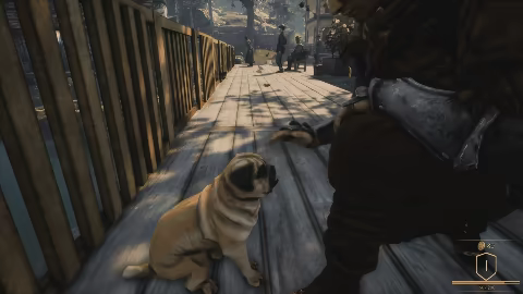 Animal Rescuer video 2