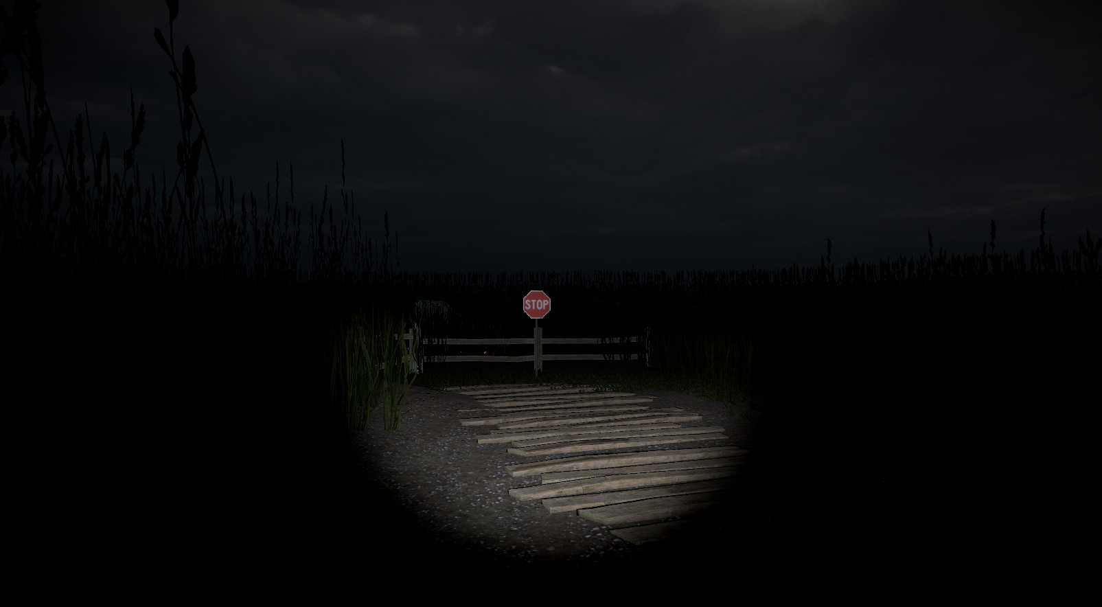 #4. Disquiet Fields (Steam) Podle: CocoCode