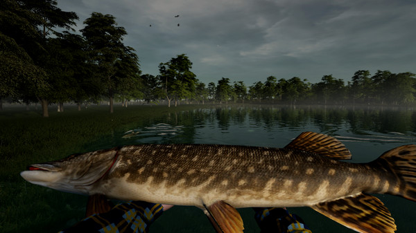 Thumbnail 8