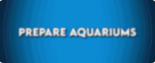 Aquarist video 1
