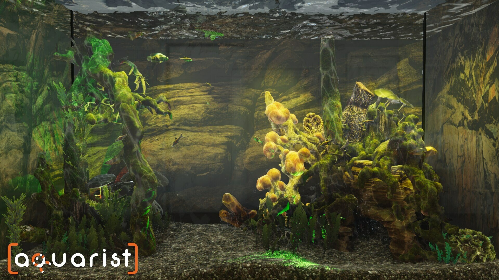Aquarist – Screenshot 9