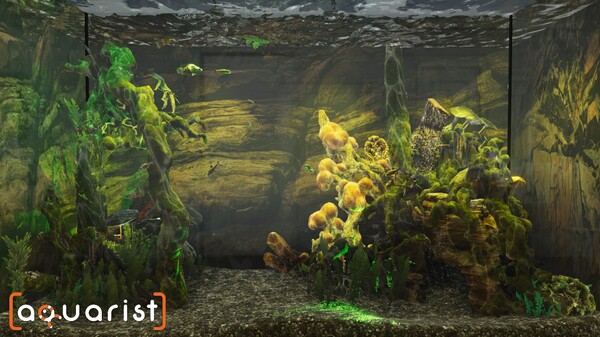 Aquarist - 建造水族馆，繁殖鱼类，拓展你的业务! 截图 10