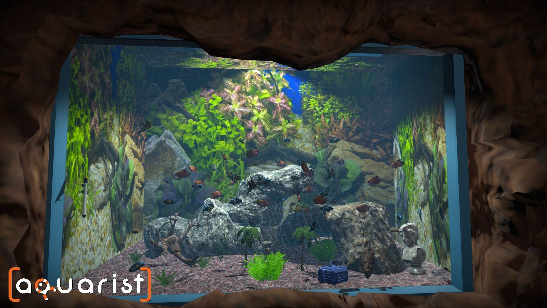 Aquarist – Screenshot 12