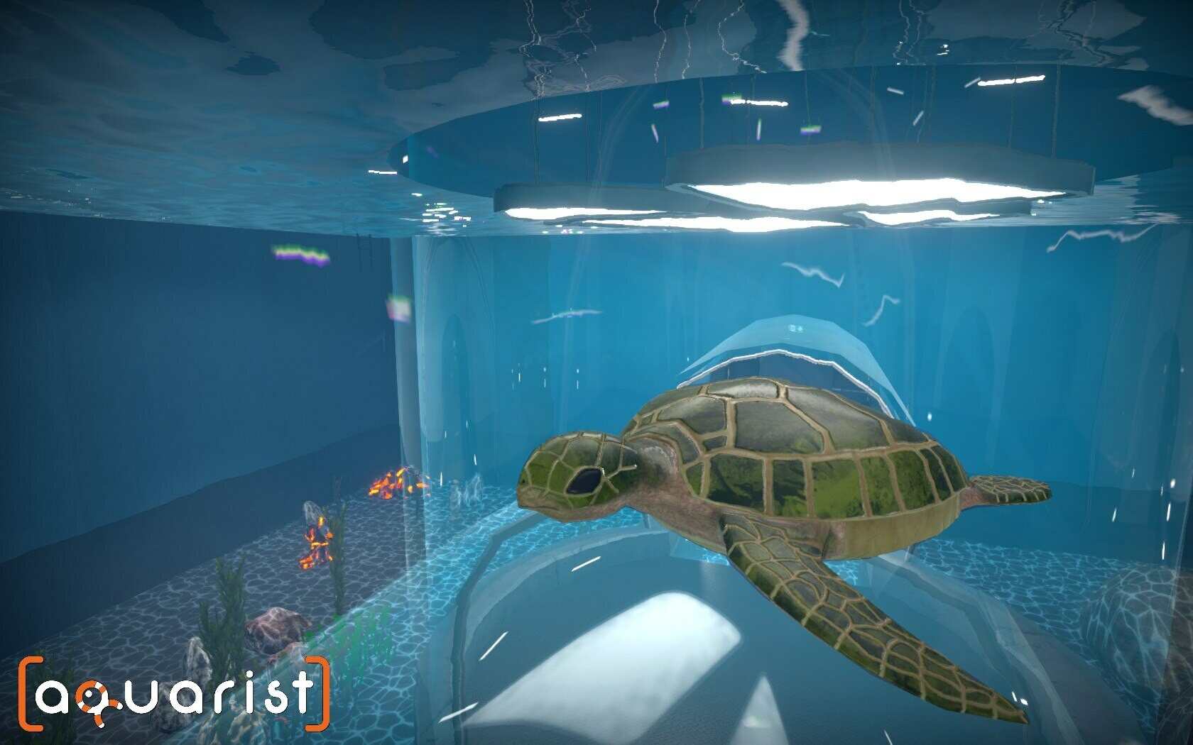 Aquarist screenshot #14