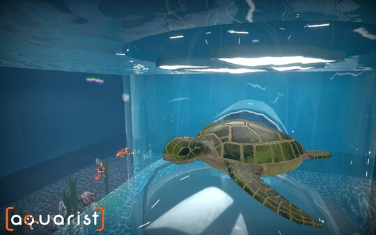 Screenshot z Aquarist