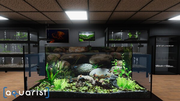 Скриншот 1 из игры Aquarist - стройте аквариумы, разводите рыбу, развивайте свой бизнес.