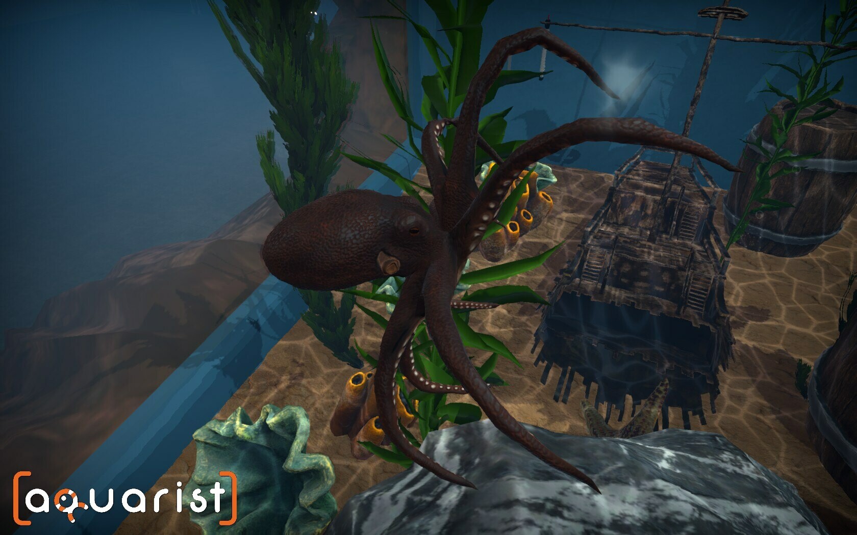 Captura 7