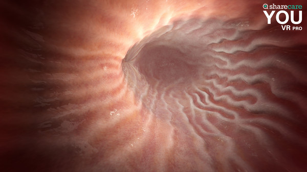 Sharecare YOU VR Pro screenshot 6