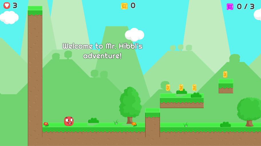 Mr. Hibbl