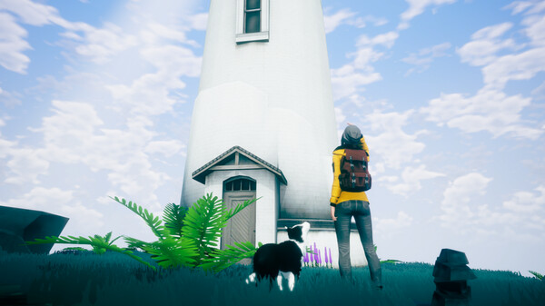 Thumbnail 13