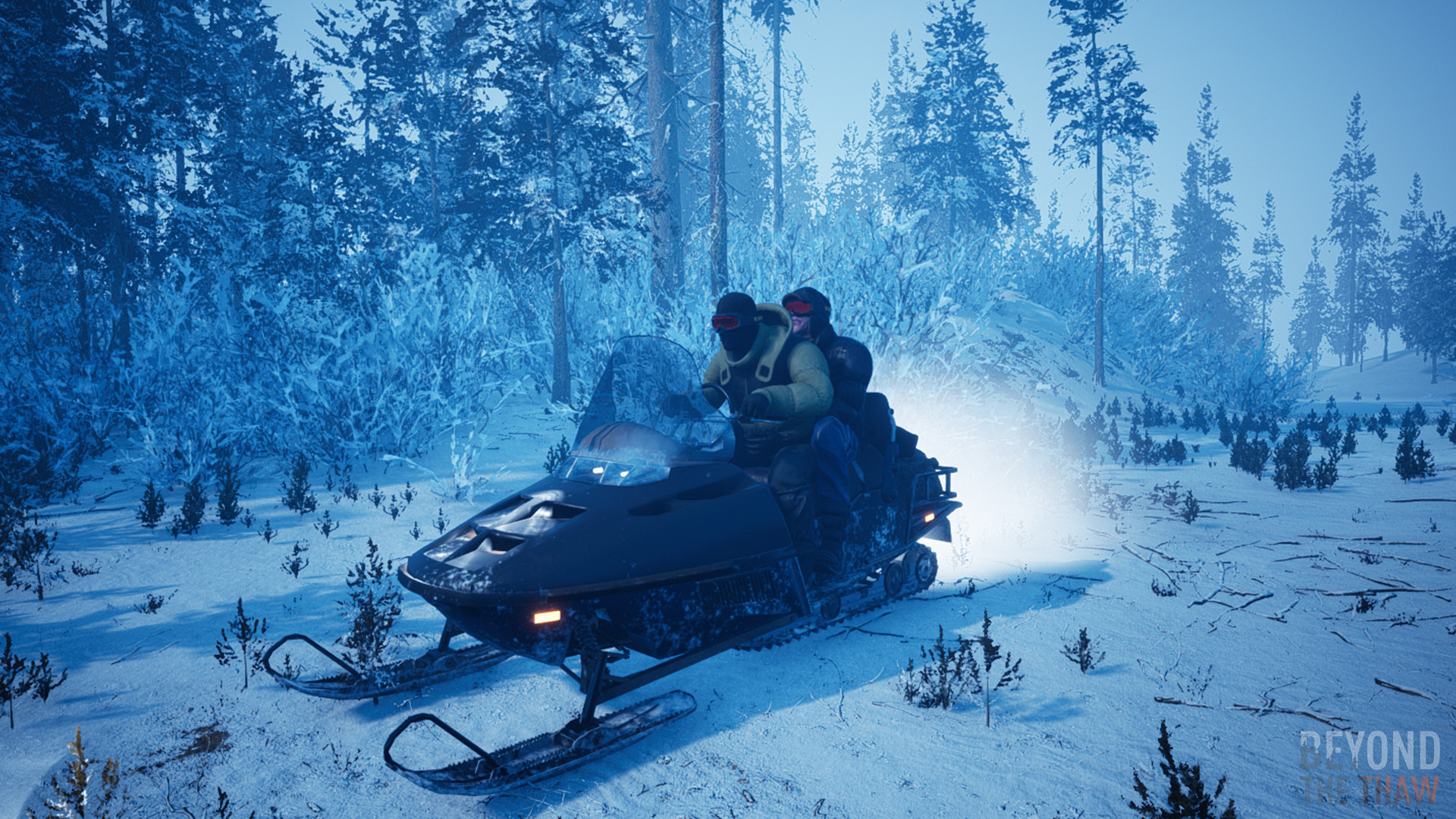 Beyond The Thaw screenshot #1